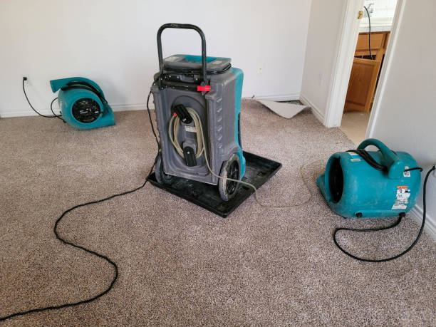 Best Flood restoration services  in Blackstone, VA