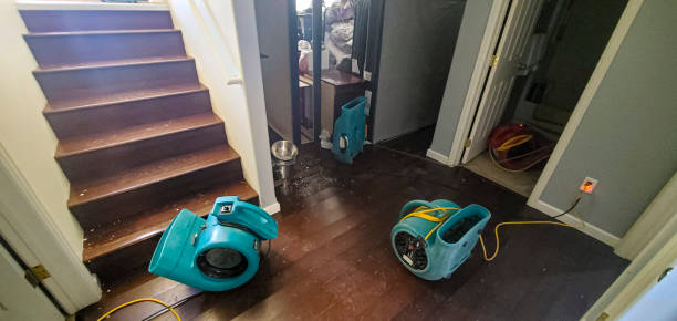 Best Water damage restoration near me  in Blackstone, VA