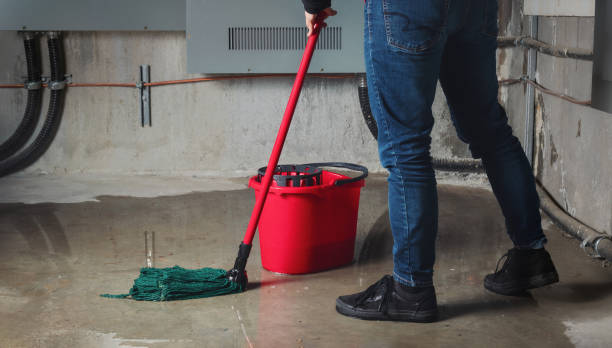 Best Carpet water damage restoration  in Blackstone, VA