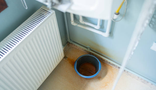 Best Sewage cleanup and water damage restoration  in Blackstone, VA