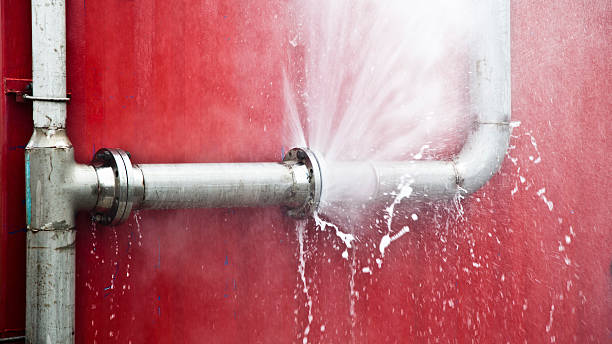 Best Flooded house restoration  in Blackstone, VA